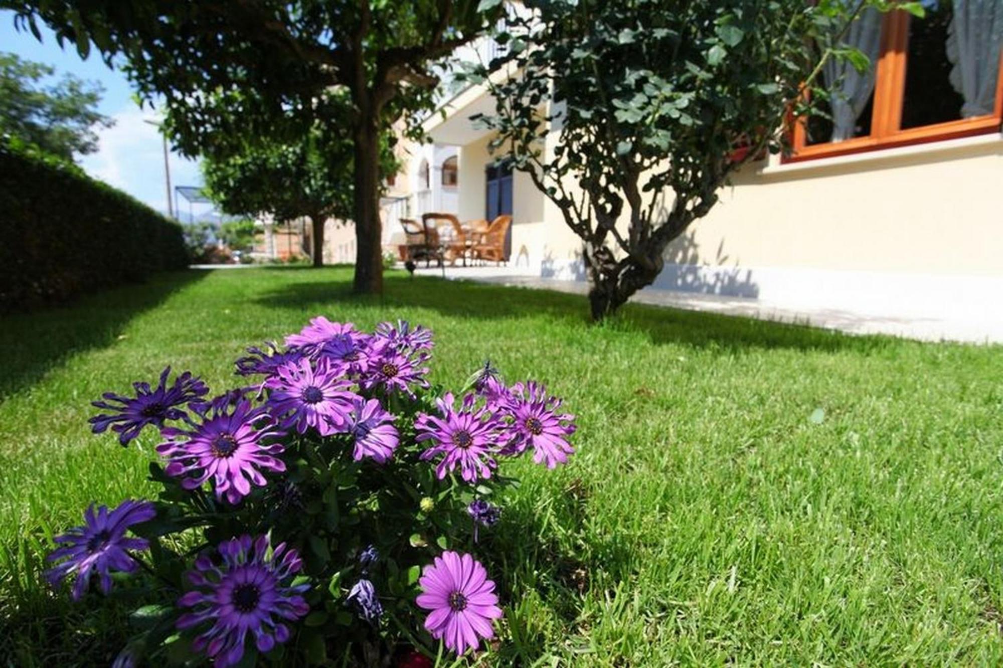 Antares Apartments Cavtat Bagian luar foto