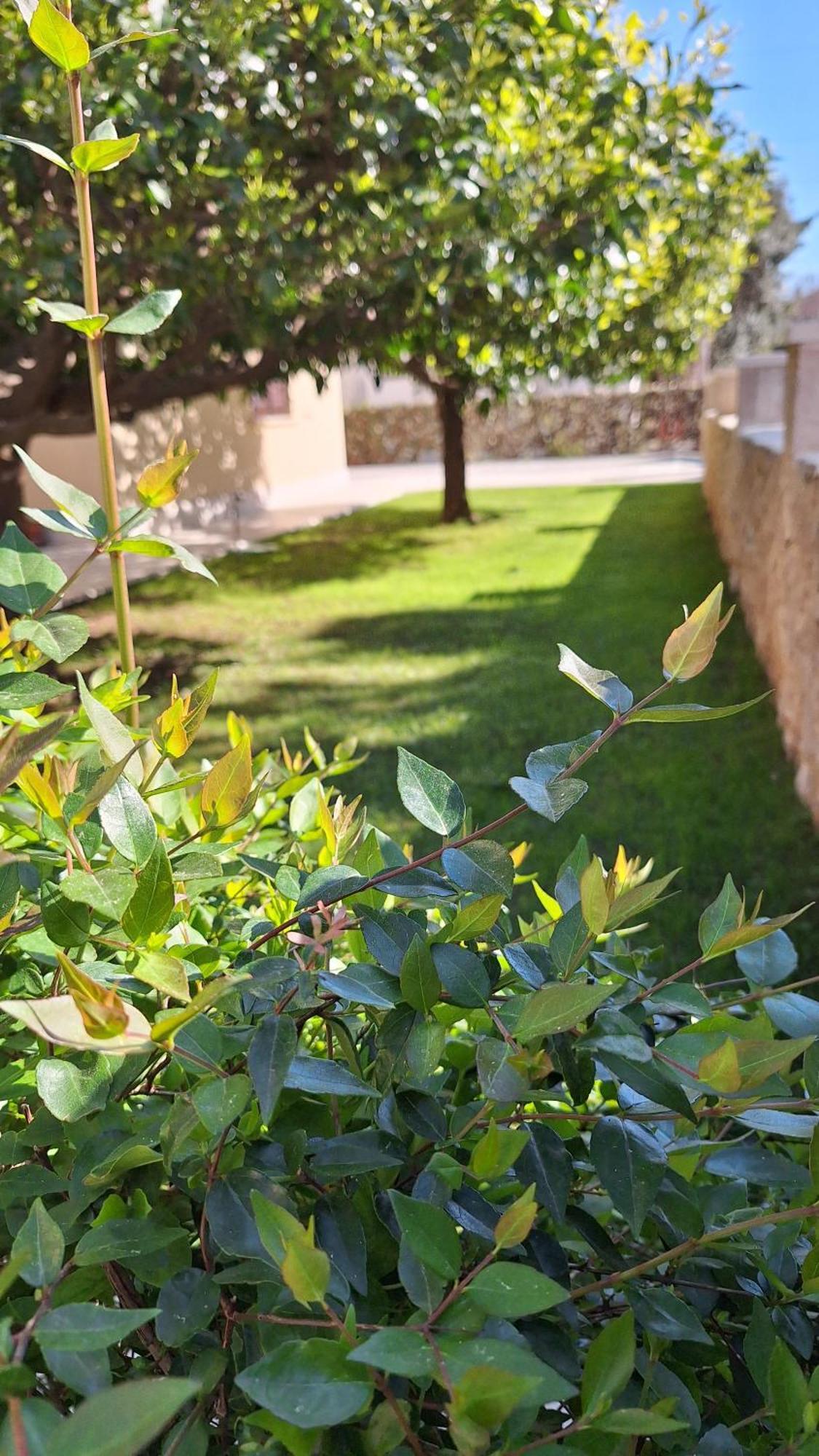 Antares Apartments Cavtat Bagian luar foto
