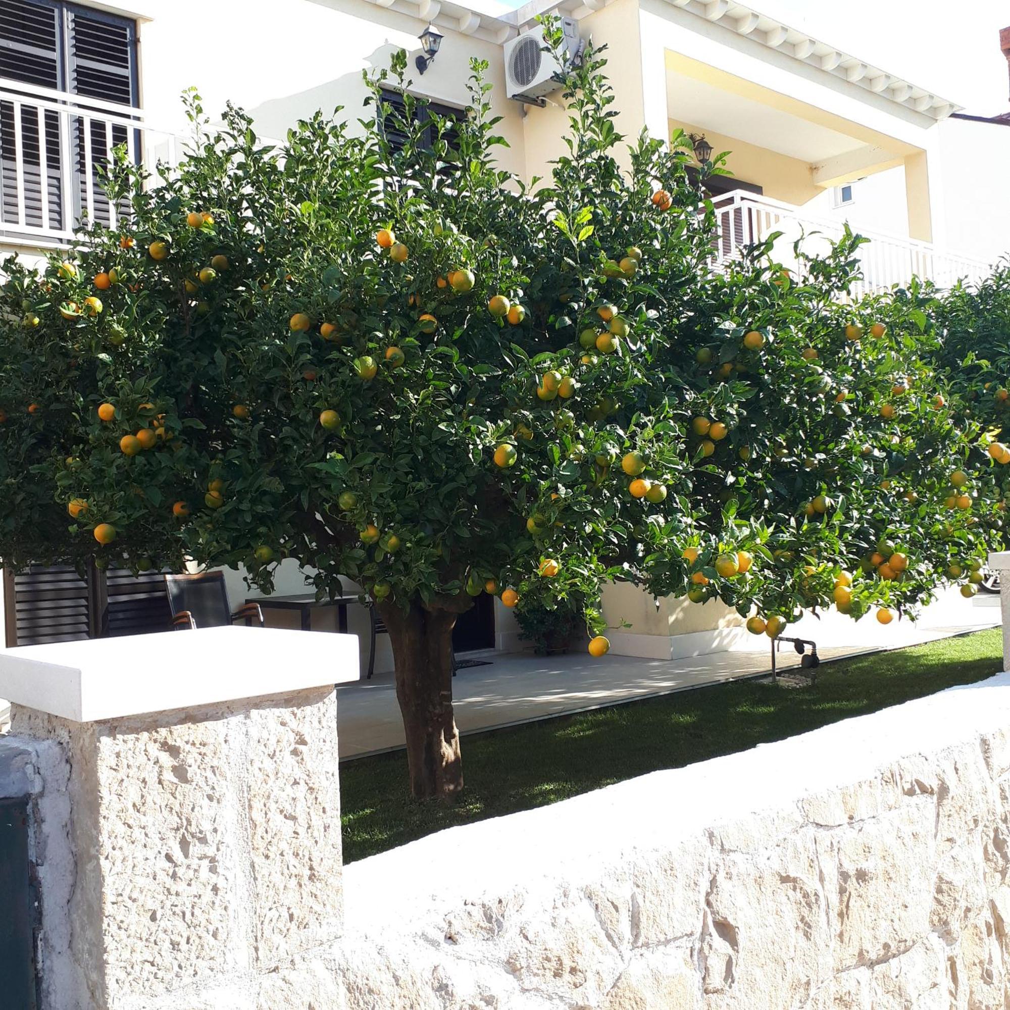 Antares Apartments Cavtat Bagian luar foto