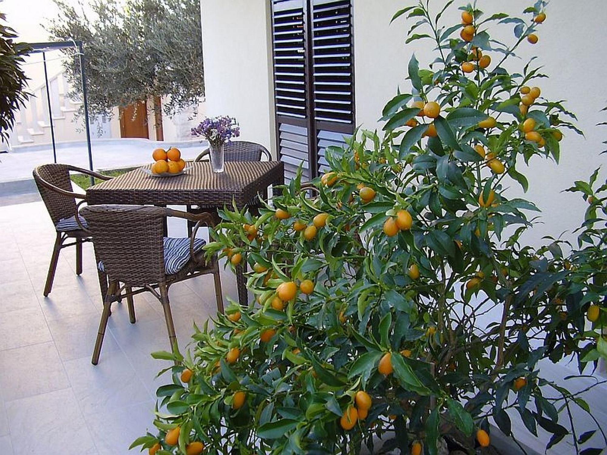 Antares Apartments Cavtat Bagian luar foto